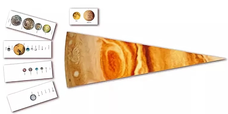 Модель-аппликация ЭДГ-14534 «Сравнительные размеры»