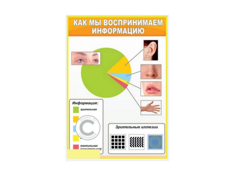 Образовательный стенд «Как мы воспринимаем информацию», 100x70