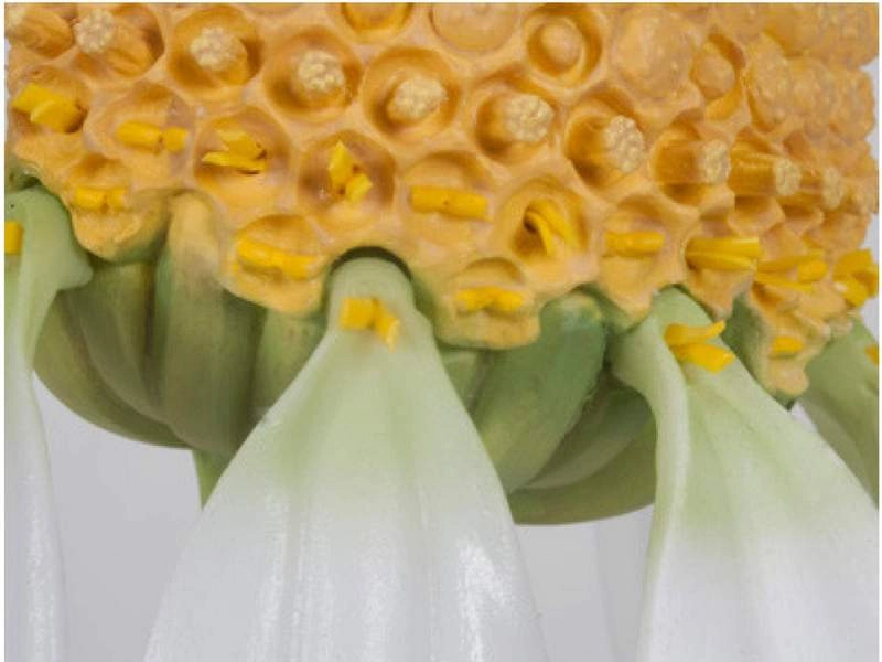 Модель ромашки 70× на подставке