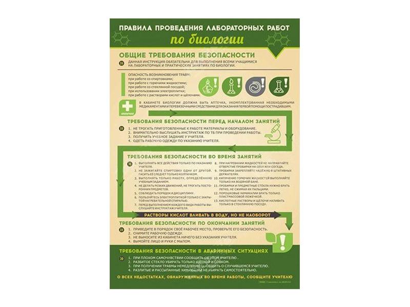 Информационный стенд: правила лабораторных работ по биологии для школы