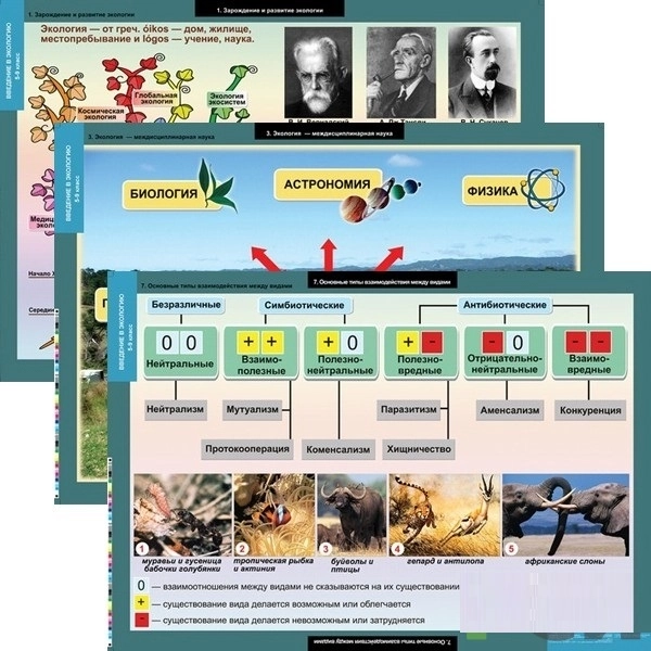 Таблицы "Введение в экологию" (формат 68×98 см, 18 шт)