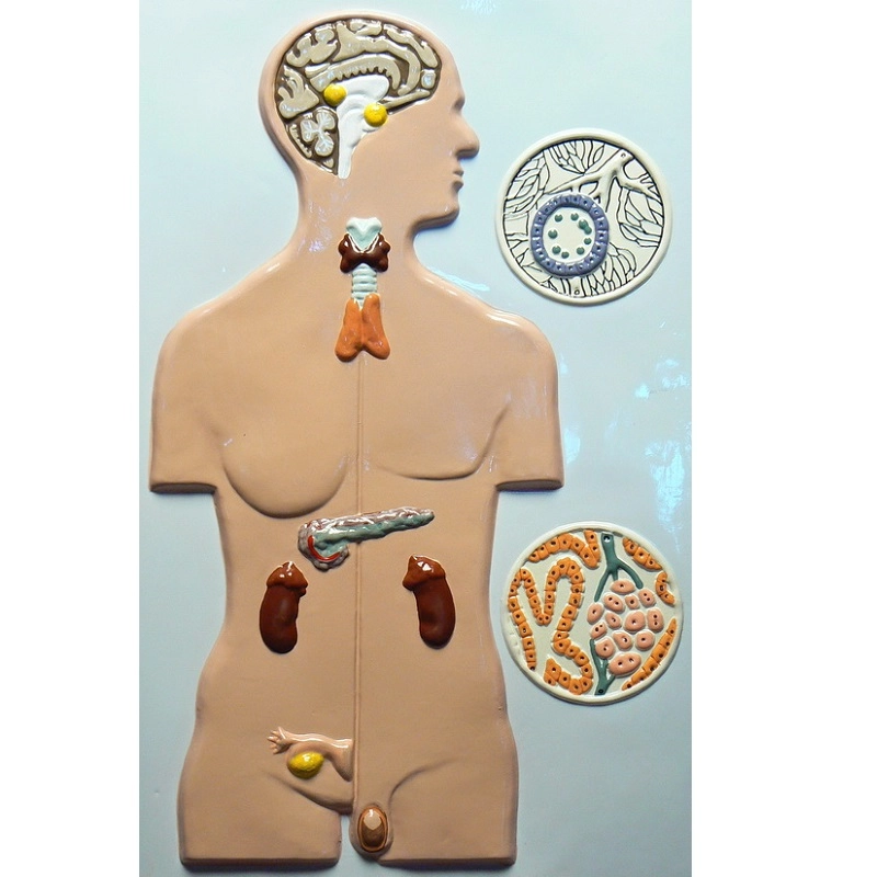 Барельефная модель 