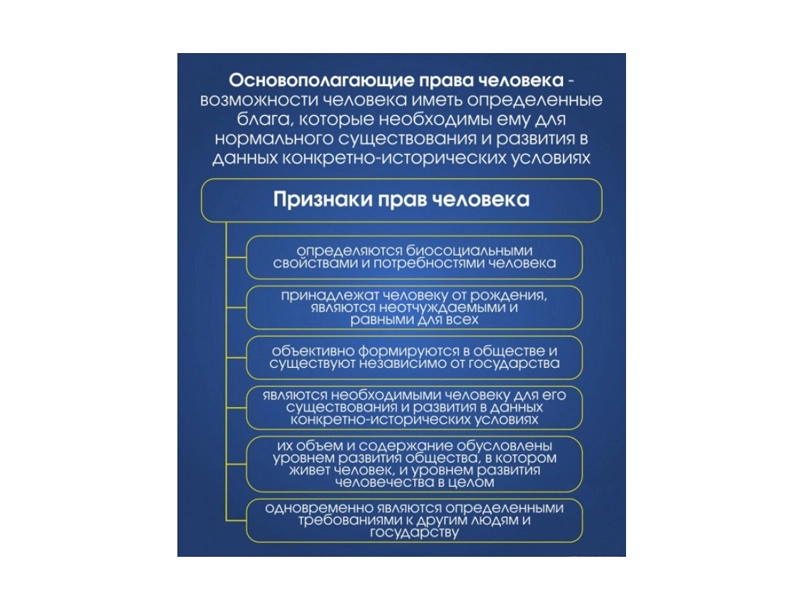 Стенд для кабинета: ОСНОВОПОЛАГАЮЩИЕ ПРАВА ЧЕЛОВЕКА 80×90