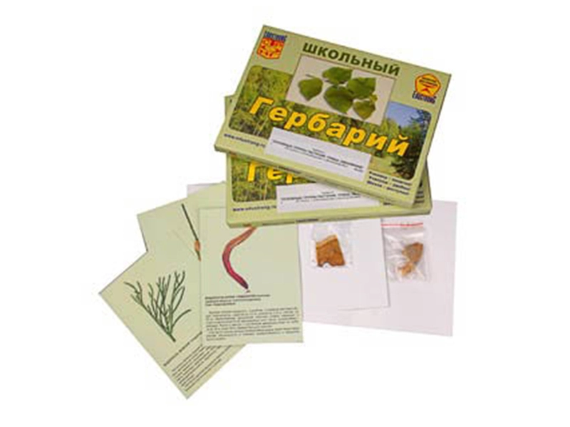 Гербарий ЭДГ-8555 — грибы и лишайники (53 листа)