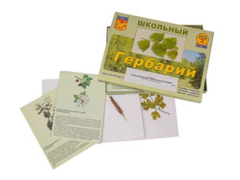 Гербарий "Сельскохозяйственные растения", 30 образцов