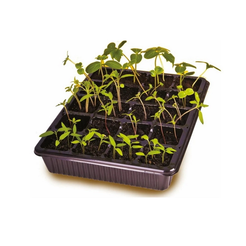 Минипарник ПВХ 345 х 285 х 95 мм