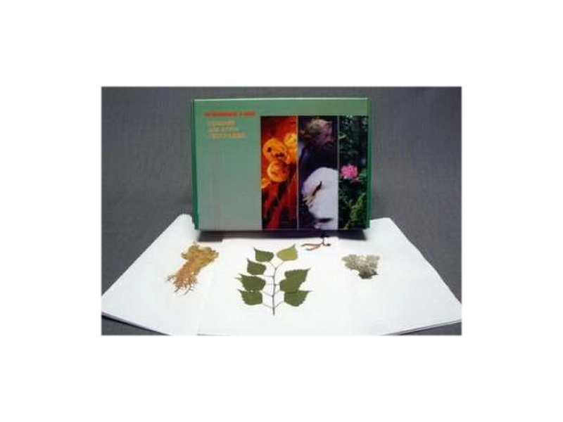 Географический гербарий — набор из 40 образцов