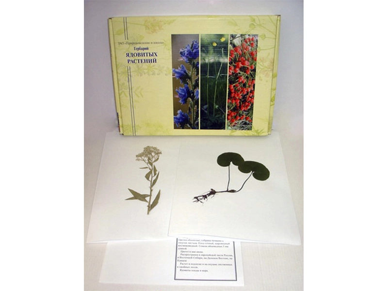 Гербарий «Ядовитые растения» — учебный комплект