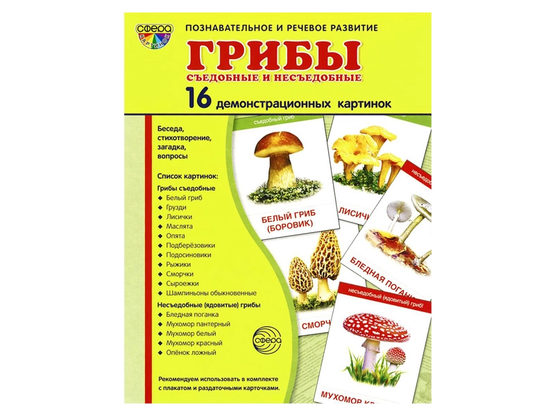 Карточный набор «Грибы» — 16 демонстрационных картинок