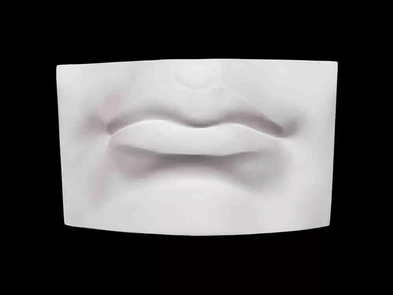 Учебная гипсовая модель губ человека