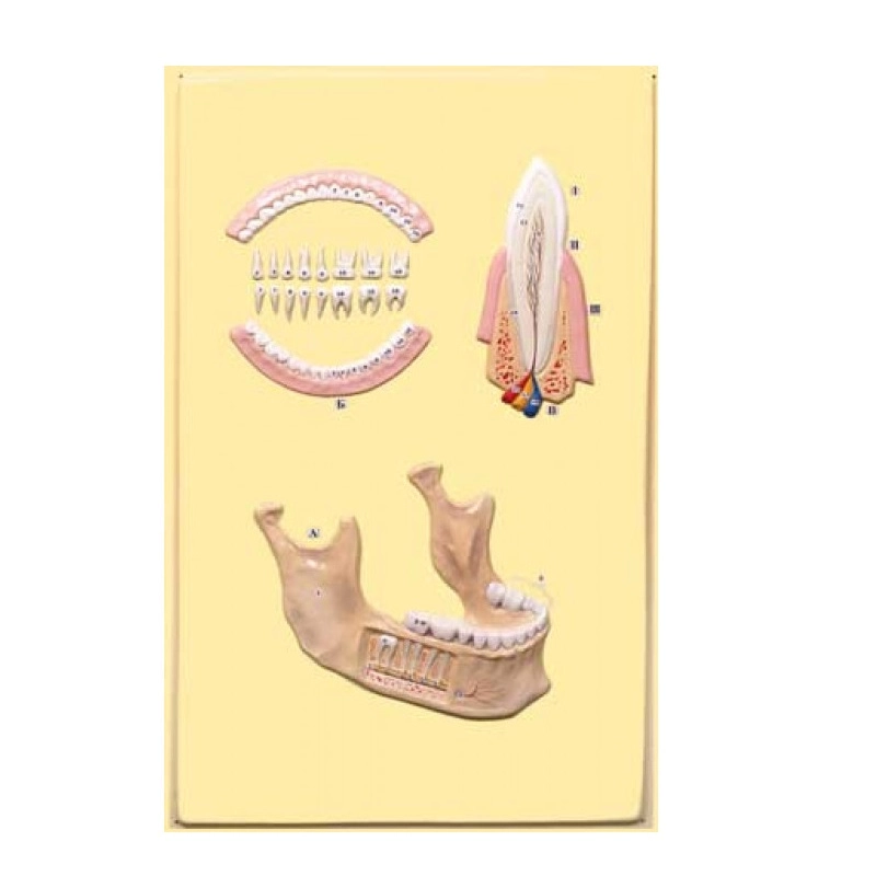 Барельефная модель 