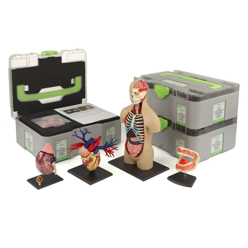 SenseDisc Biochemistry — цифровой набор для биологии и химии