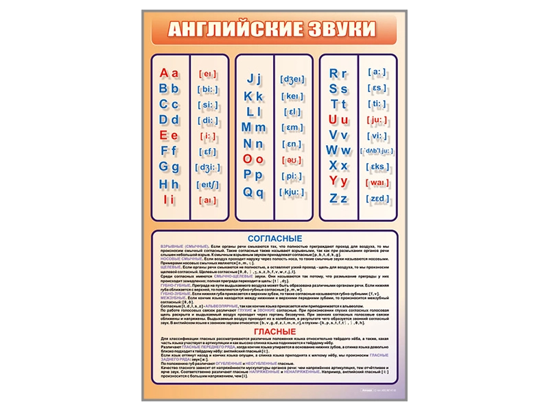 Настенный стенд: английский алфавит с транскрипцией 690×1000 мм