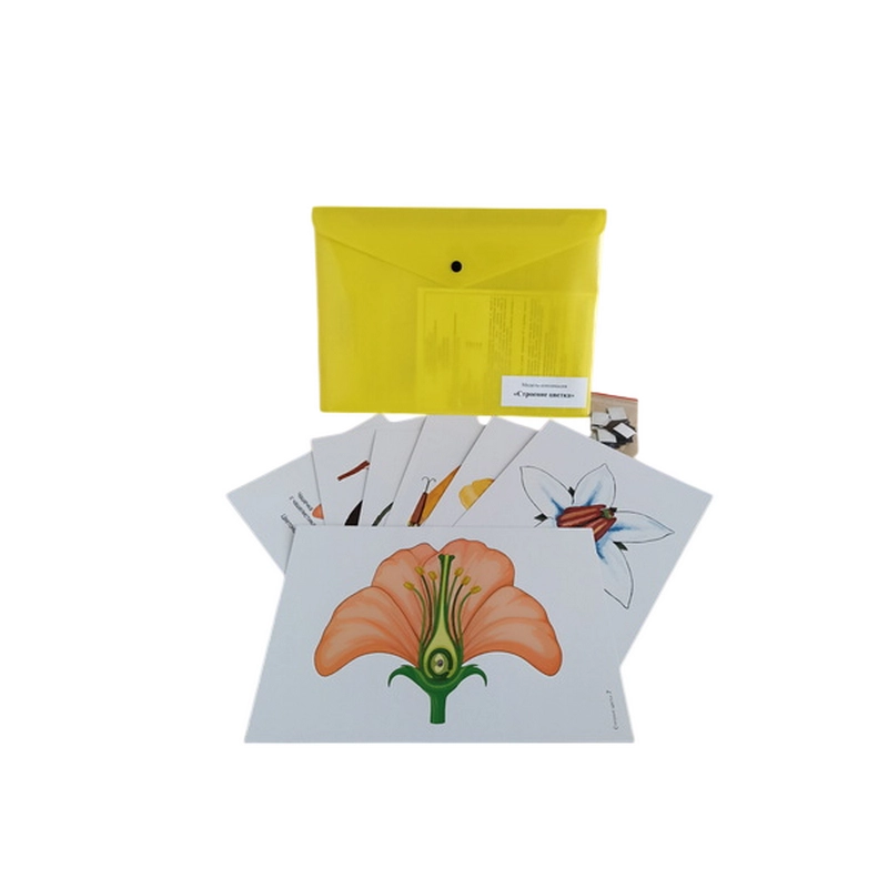 Набор учебных аппликаций: 3 демонстрационные модели