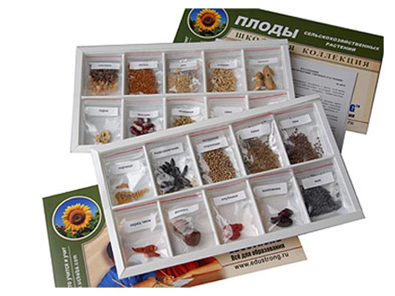 Набор засушенных плодов сельскохозяйственных растений ЭДГ-9070