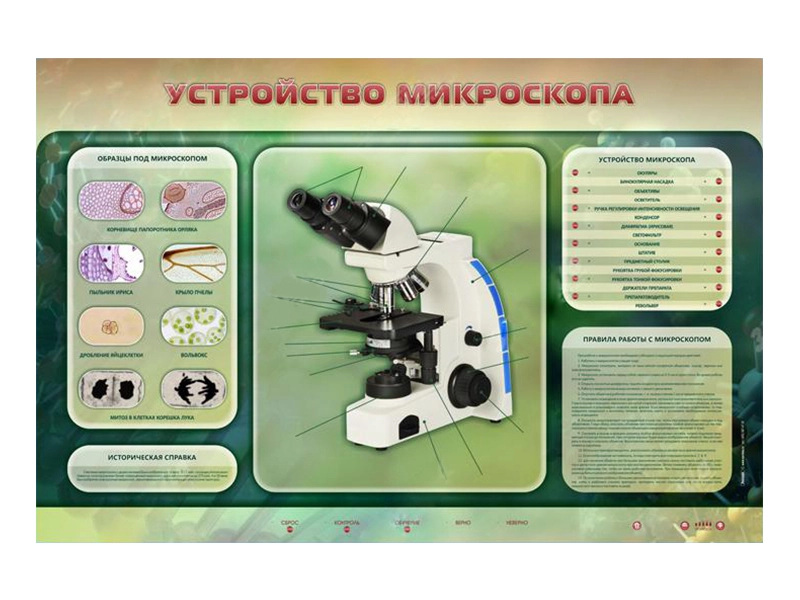 Электрифицированный учебный стенд «Устройство микроскопа»