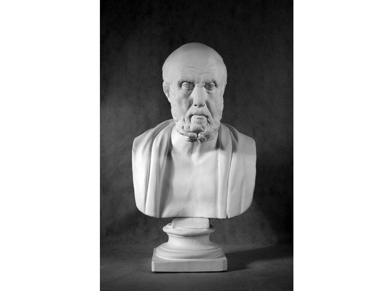 Голова Гиппократа — гипсовая учебная модель