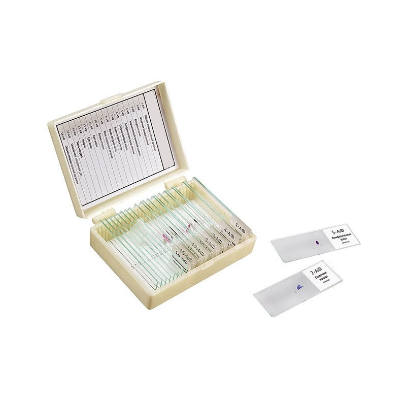 Микропрепараты (малый комплект, 20 шт.)