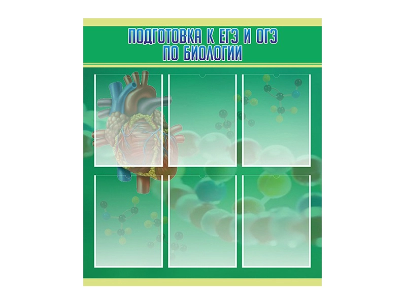 Учебный стенд — подготовка к ЕГЭ/ОГЭ по биологии, 80×90 см