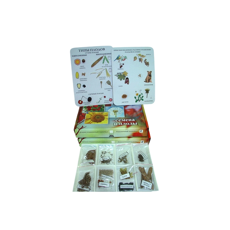 Набор семян и плодов — 10 видов