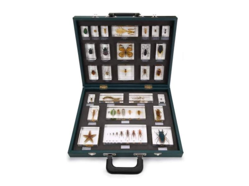 Кейс с 27 образцами беспозвоночных, масса 5.137 кг
