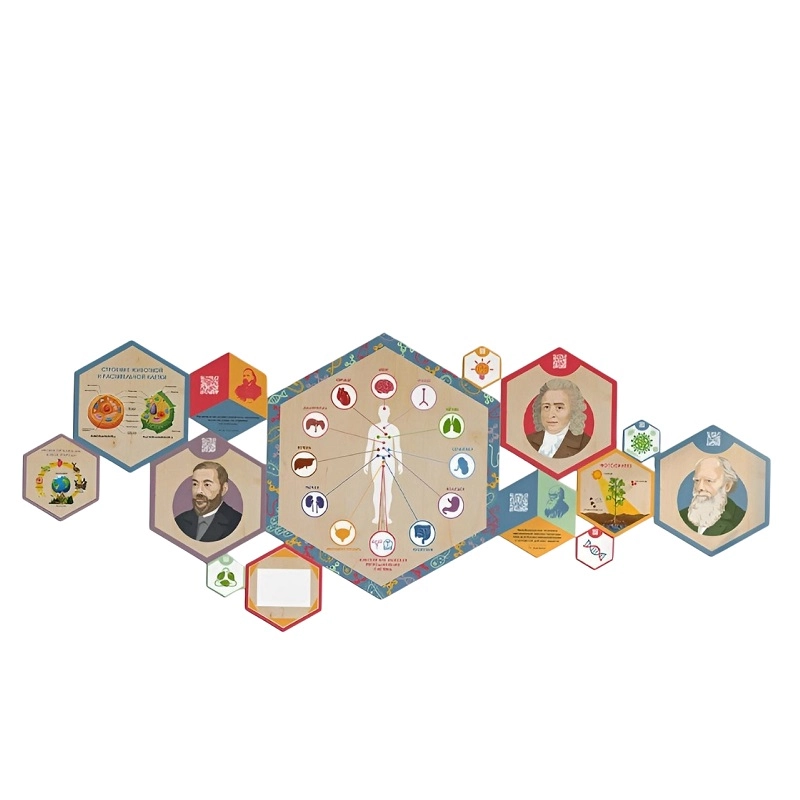 Набор стеновых панелей "Биология" (14 шт.)