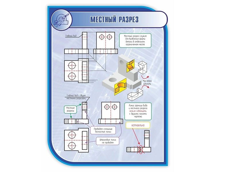 Местный разрез — стенд 1×0,75 м