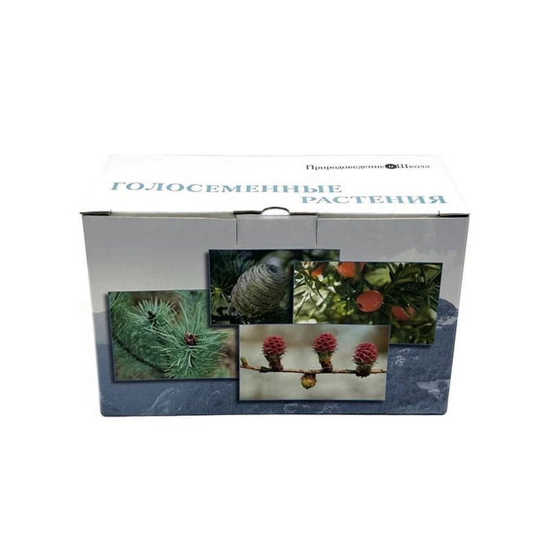 Набор образцов голосеменных (ПРШ-038)