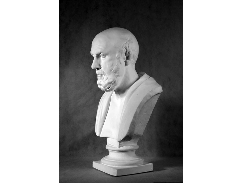 Голова Гиппократа — гипсовая учебная модель