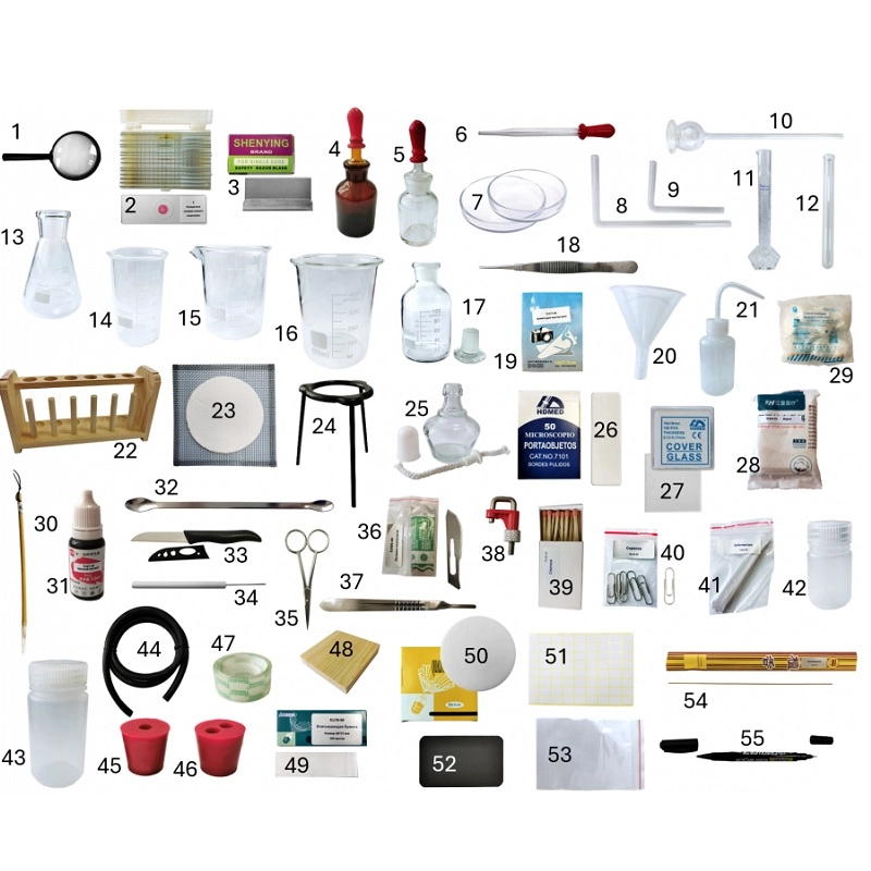 Образовательный кейс по биологии: Растения (полупрозрачный)