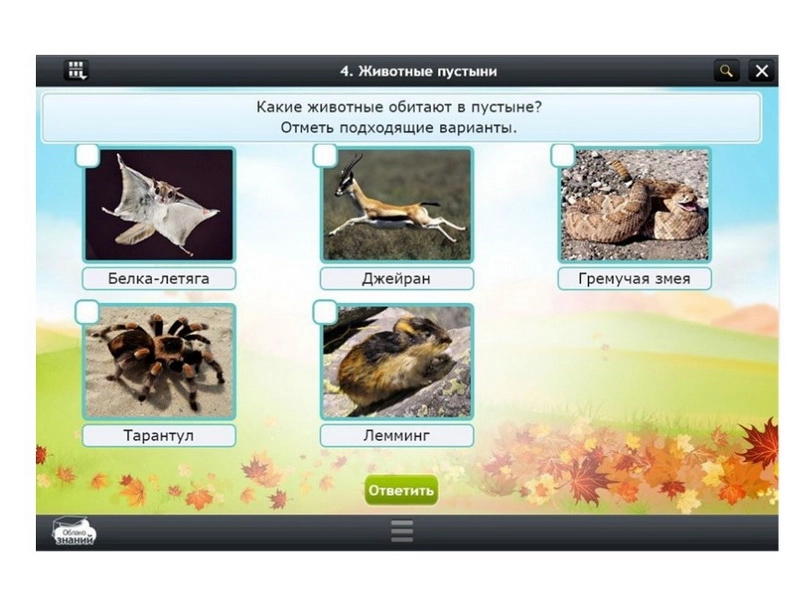 Цифровой курс «Окружающий мир», 3 класс — 153 модуля