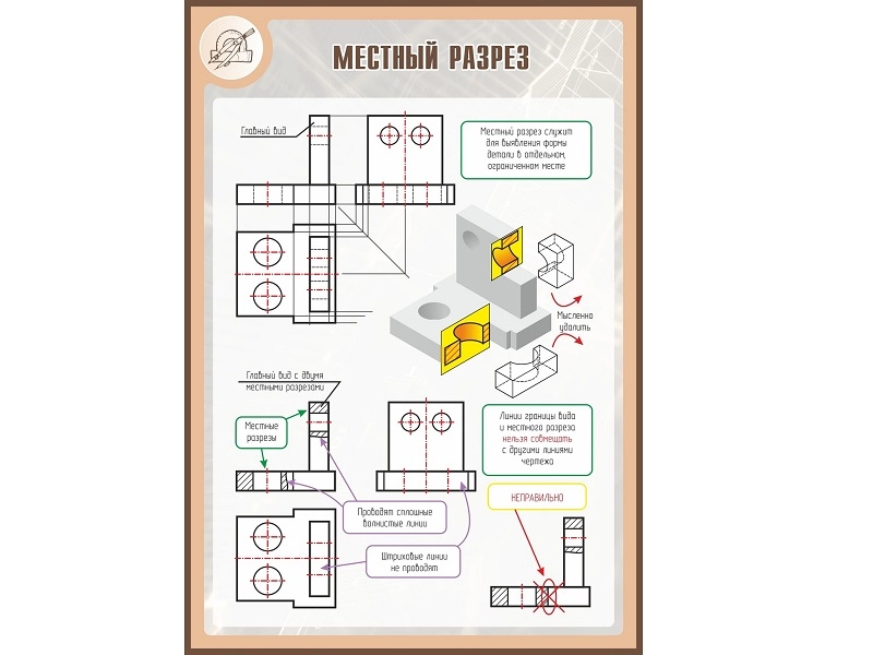 Местный разрез — стенд 100×70 см