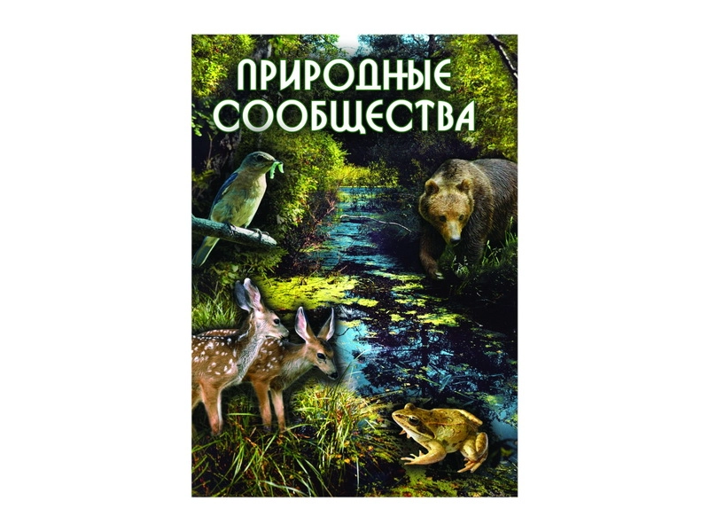 Образовательный CD «Природные сообщества» (MP4)