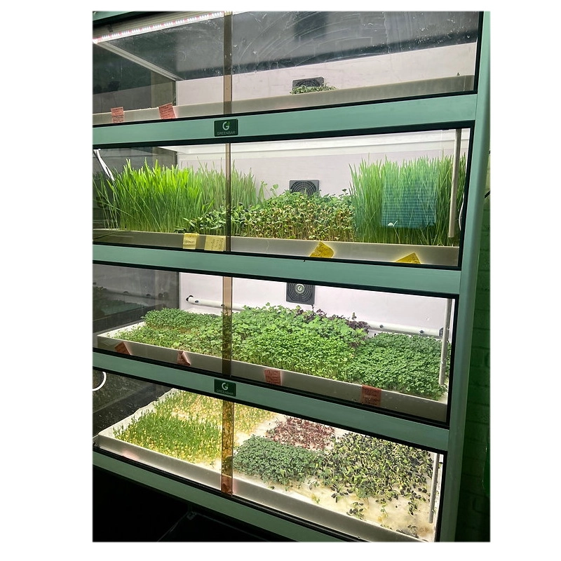 Установка выращивания микрозелени GRN‑MZ‑4 ПАК — 4 уровня