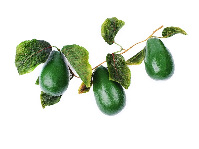 Ветка с муляжами авокадо, пластмасса