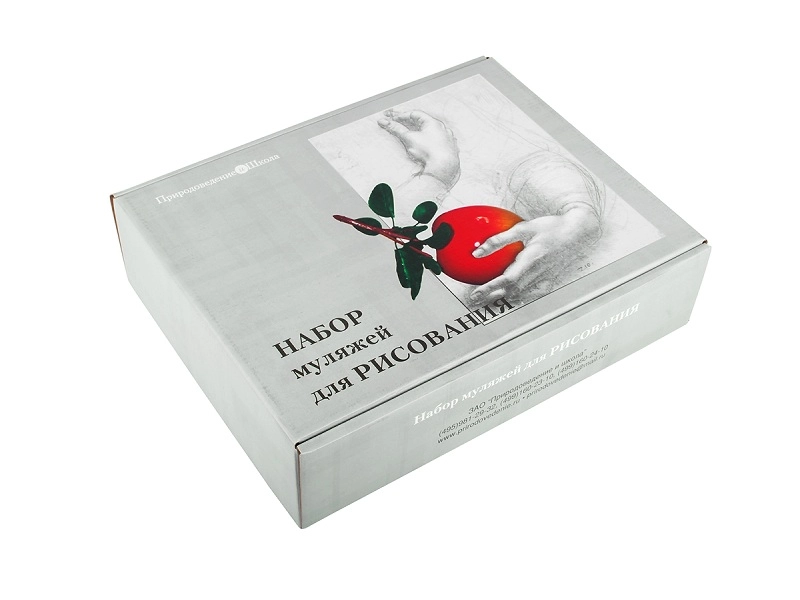 Муляжи для рисования (13 предметов)