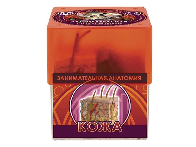 Набор Профессор Эйн: Кожа