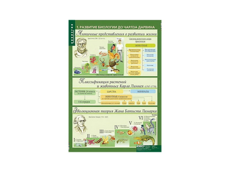 Демонстрационные таблицы по биологии — Эволюция (68×98 см)