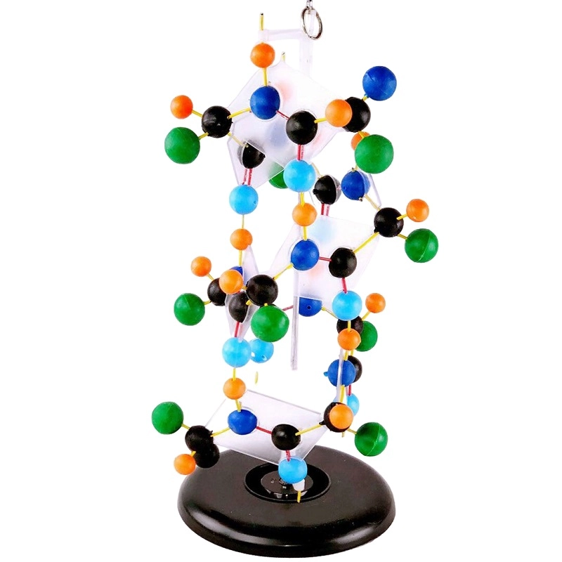 Модель «Структура белка» — демонстрационная