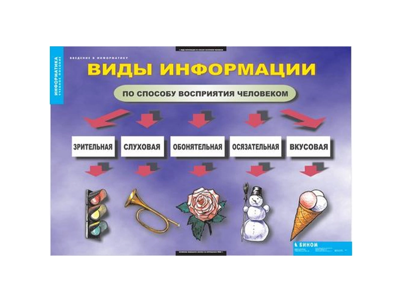 Образовательные таблицы по информатике «Введение»