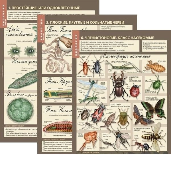Комплект таблиц "Животные" для 7 класса — 12 листов