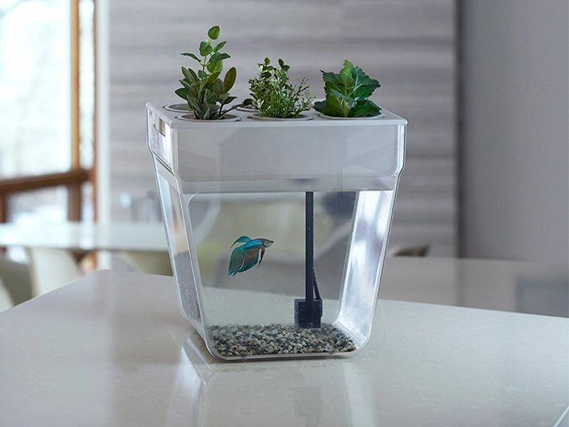 Набор для выращивания растений и ухода за рыбкой Акваферма