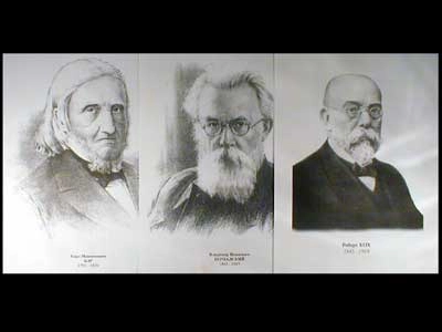 Набор портретов биологов, формат А3 — 26 шт.