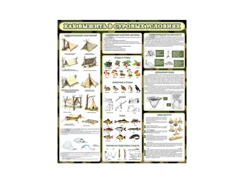 <h1>Информационный стенд "Как выжить в суровых условиях" (0,9 x 1 м)</h1>