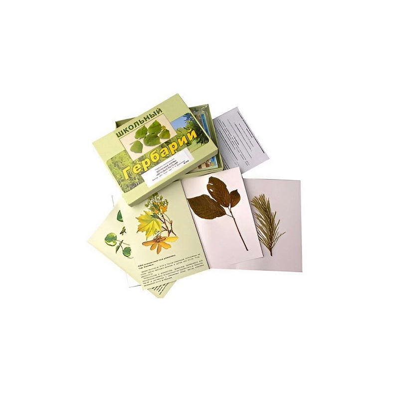 Гербарный набор «Жизненные формы» — A4 для урока