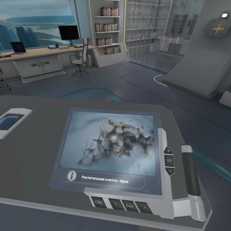 VR-курс «Цитология» для 5–11 классов