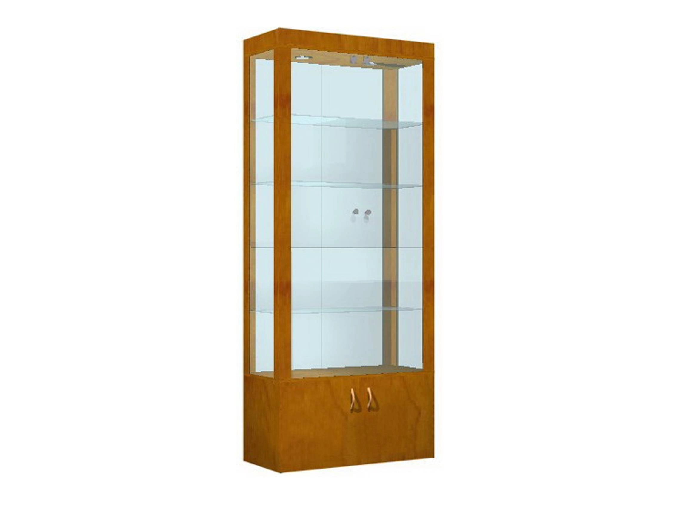 Витрина демонстрационная Топаз Т-100ВД со шкафом
