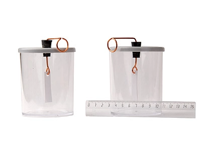 Набор электроскопов ЭДГ-7941 — 2 шт.