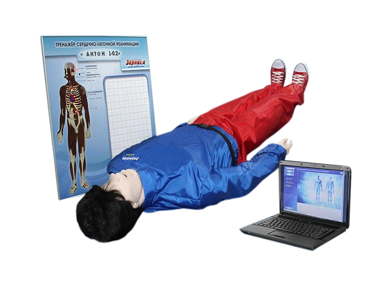 Манекен-робот «Антон-2» — учебный тренажер СЛР