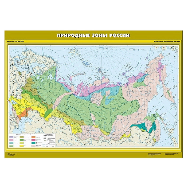 Карта Природные зоны России (Начальная школа)